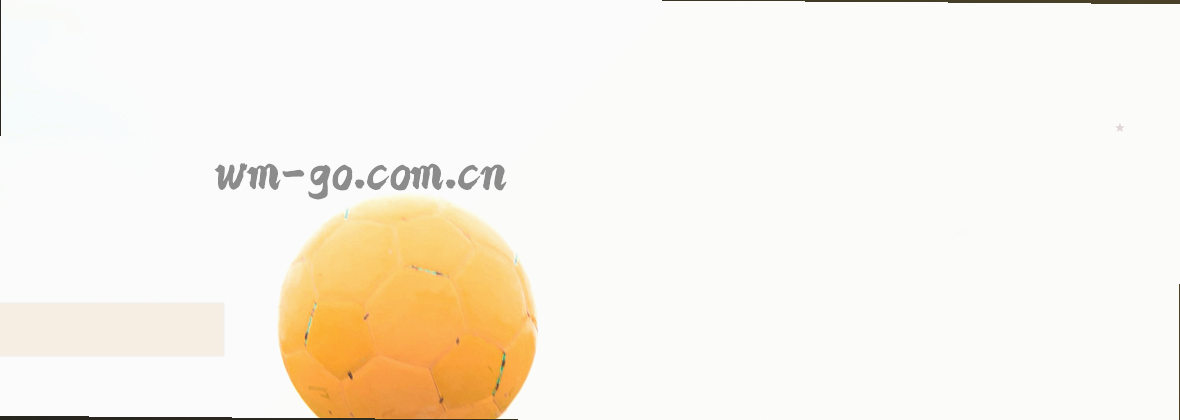 WM完美体育在线登录 官方网站中国服务平台定位说明